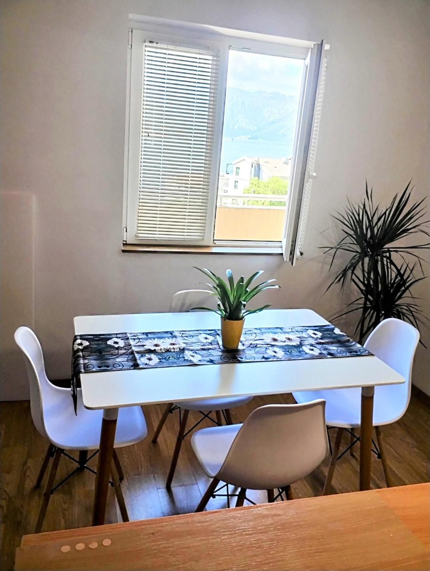 Apartment Bella Vista 科托尔 外观 照片